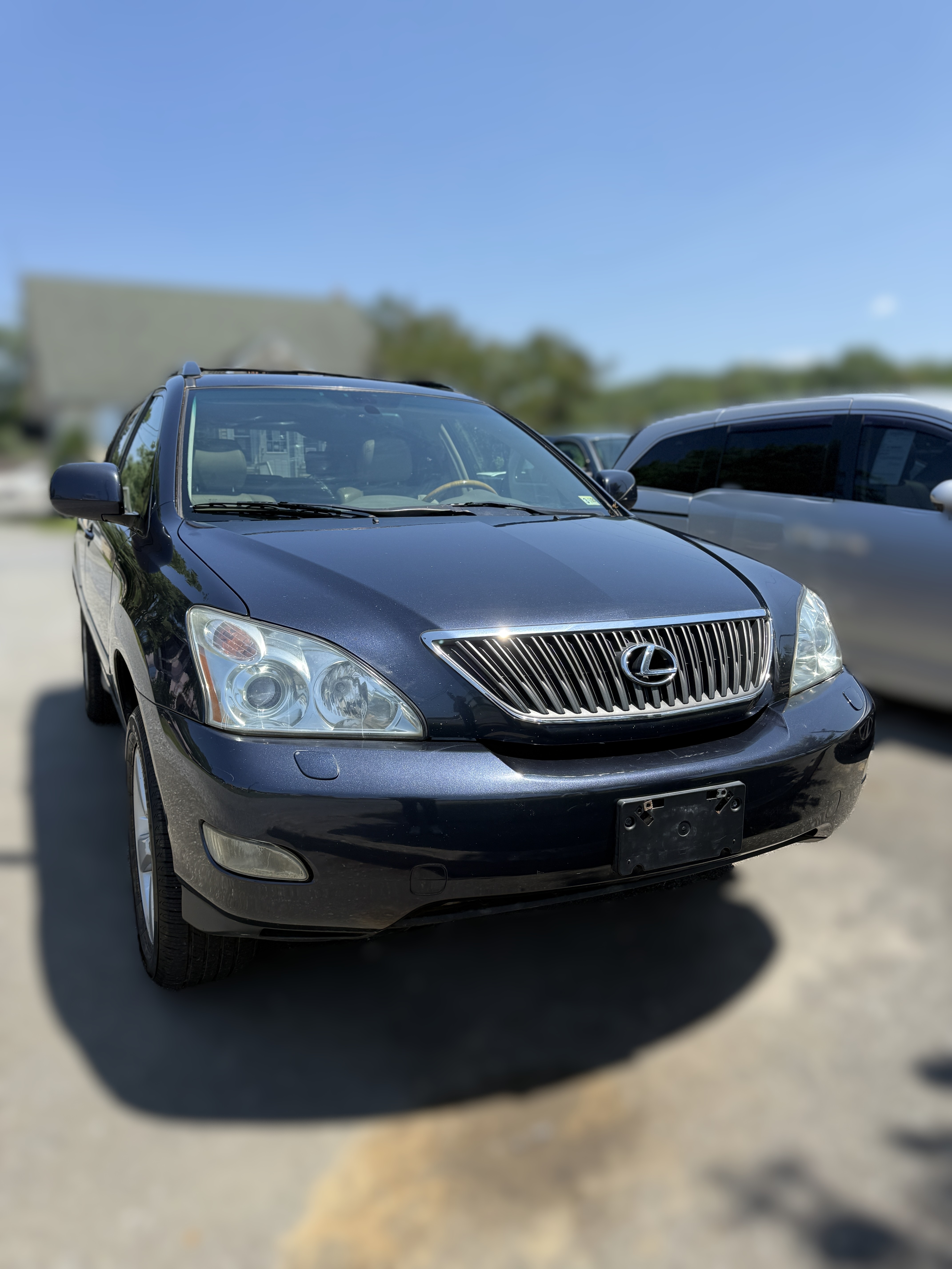 2004 Lexus RX